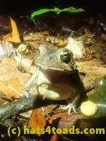 /home//u458753944/public_html/sourcegallery/////////////////////////McKaig Nature Center/2024-09-27/P9271580.JPG